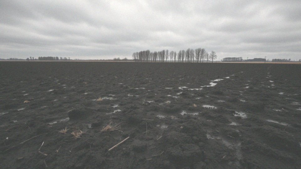 Jak błoto we śnie może wskazywać na poczucie winy?