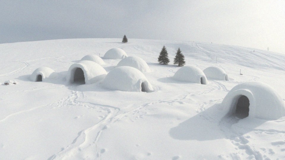 Jakie są rodzaje igloo?