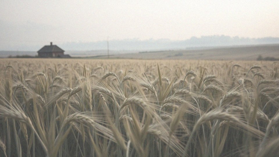 Od czego zależy wzrost? Kluczowe czynniki wpływające na wysokość